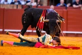 « Je saignais beaucoup » : un torero gravement blessé après s’être fait perforer la cuisse de 30 cm pendant une corrida