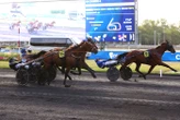 Arrivée du quinté du vendredi 6 juin à Paris-Vincennes : Hamigo remet le couvert