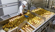 Canicule : plusieurs usines à l’arrêt dans le Morbihan, dont celles qui produit les chips Bret’s