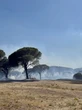 Fréjus : un important incendie en cours, 30 ha partis en fumée et « un important dispositif » de secours mobilisé