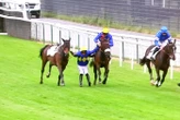 Un jockey tente une manœuvre spectaculaire pour éviter une chute sur l’hippodrome d’Auteuil