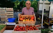 À 79 ans, Gilbert le maraîcher aimerait (enfin) prendre sa retraite