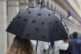 « C’est toujours bon à prendre ! » : la pluie revient (un peu) ce week-end, découvrez les régions les plus touchées