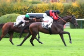 Arrivée du quinté du jeudi 23 octobre à Auteuil : Jachar ou la forme George-Zetterholm