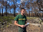 Hérault : Après les incendies, la nature renaît de ses cendres, des arbres africains adaptés au réchauffement plantés