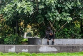 Paris : le réseau de crack des Halles démantelé fournissait jusqu’à 30 clients par jour
