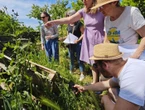 Les jardiniers de La Rochelle lancent un appel à dons pour acheter du matériel en commun