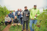 « Le rêve devient accessible » Dans le Roannais, des vignes pour que les futurs vignerons se fassent la main