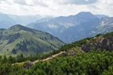 Un bébé de dix semaines survit à une chute de 50 m et à plusieurs tonneaux dans sa poussette lors d’une randonnée dans les Alpes