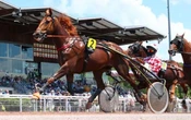 PMU-Arrivée du quinté du mercredi 9 juin à Laval : Crack Money s’empare du maillot jaune
