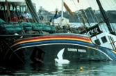 « J’ai encore des regrets » : « Qui a coulé le Rainbow Warrior ? », le documentaire de France 2 à ne pas rater