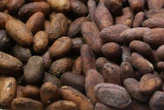 « Tout ce qui se trouve à l’intérieur de la cabosse » : Nestlé veut innover dans la production du chocolat