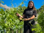 Un vin de Paradis en Haute-Loire : « Le réchauffement climatique rend possible ce qui ne l’était pas »