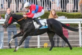 Arrivée du quinté du samedi 18 octobre à Auteuil : Jackson Ville s’adjuge le Prix le Parisien