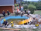 Haute-Loire : une jument et un poulain tombés dans une piscine privée et sauvés par les pompiers
