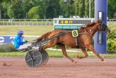 Arrivée du quinté du mercredi 2 juillet à Enghien : « C’est un rêve », Simon Laloum aux anges grâce à Grand Trio Ludois