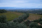Une technique australienne permet de maîtriser la consommation d’eau des vignes dans les Pyrénées-Orientales