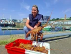 Sauvée de l’extinction : le revival de la langouste rouge en Bretagne !