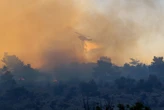 4000 hectares ravagés en Grèce : une femme de ménage reconnaît avoir jeté un mégot mal éteint