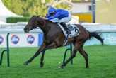 Arrivée du quinté du jeudi 19 juin à ParisLongchamp : Green Cape remplit son contrat