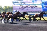 Arrivée du quinté du lundi 25 août à Vincennes : Flash Money enflamme les rapports