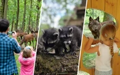 Jeu concours : tentez de gagner une expérience nature à l'Espace RambouilletContenu proposé par ESPACE RAMBOUILLET