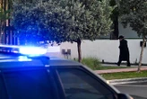 « C’est du délire total » : un Américain drogué survit à une attaque d’alligator avant d’être tué par la police