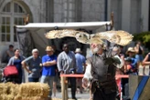 « Ça crée un malaise chez une partie du public » : les animaux sauvages ont-ils encore leur place à la fête médiévale de Châteaudun ?