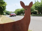 « La première fois, ça surprend » : des silhouettes d’animaux pour obliger les conducteurs à lever le pied
