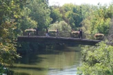 À Creil, le corps d’une femme de 78 ans repêché dans la rivière Oise