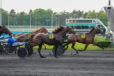 Arrivée du quinté du vendredi 2 mai à Paris-Vincennes : Ninepoints Lasse dans un temps record