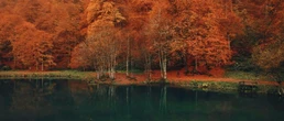 « Voir l’automne, une saison en France » : sur France 2, un documentaire qui prend le temps d’écouter la nature