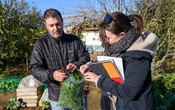 Pesticides : des choux et du persil contaminés dans la plaine d’Aunis près de La Rochelle
