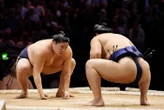 Sumo : à quelle heure et sur quelle chaîne TV suivre le Tournoi de Paris ?