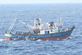 Narcotrafic : plus de trois tonnes de cocaïne interceptées sur un bateau au large de la Guyane