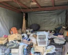 « La peau totalement écorchée » : une centaine de chats morts découverts chez une bénévole d’une association pour animaux