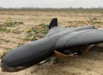Guerre en Ukraine : « Il reste sur sa cible même endommagé », c’est quoi le drone géant Batyar bientôt testé au combat par Kiev ?