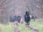 Clermont : 35 chiens de chasse poursuivent un sanglier en centre-ville et sur la N31