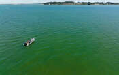 Mer verte, rouge ou brune : gare aux microalgues toxiques ! 