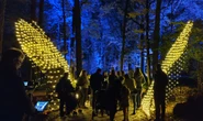 « Les Esprits de la Forêt » une sortie pleine de féérie et de magieContenu proposé par ESPACE RAMBOUILLET