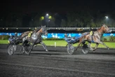 Arrivée du quinté du vendredi 3 octobre à Paris-Vincennes : Indice d’Argent décroche l’or