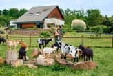 « Sortir de ma zone de confort » : quand Thibaut Pinot se transforme en hôte Airbnb pour le Tour de France 2026