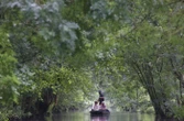 PFAS, herbicides, hydrocarbures : le Marais poitevin contaminé par des micropolluants