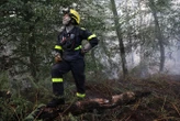 Moins de pompiers, départ des moyens aériens… à Fontainebleau, la situation face aux incendies se stabilise