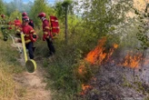 « L’incendie ne s’est pas déclenché tout seul » : 5 hectares brûlés pour « le premier feu de forêt » de l’année dans l’Oise