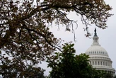 Paralysie budgétaire, risque de licenciements… Les États-Unis en mode « shutdown » : voici ce qu’il va se passer