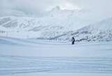 La Plagne : un skieur fait une chute mortelle après avoir tenté de rejoindre son enfant tombé sur une piste noire