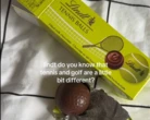 « Qui a validé ça ? » : Lindt commercialise des chocolats en forme de balles de tennis… qui ont tout l’air de balles de golf