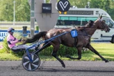 « Le meilleur cheval que j’ai drivé » : Ibiki de Houelle vedette d’un samedi de gala à Vincennes