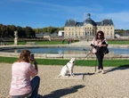 « Tout le monde est content » : Vaux-le-Vicomte ouvre définitivement ses jardins historiques aux chiens en laisse